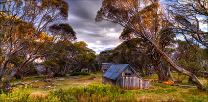 Wallace Hut - VIC T (PBH3 00 34366)